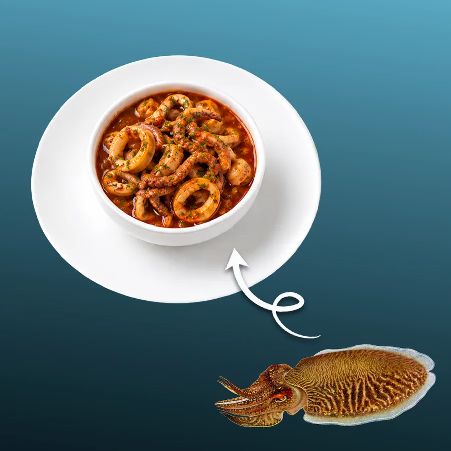 コウイカのソース煮 — コウイカのリングをソースでじっくり煮込み、柔らかく香りよく。 · Sphère Restaurant by Léa, Kouba, Alger